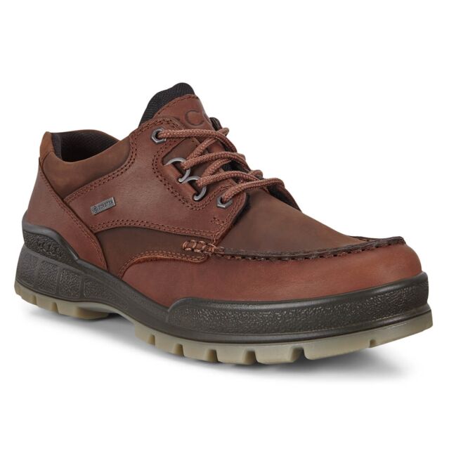 Ecco Mens 2024 Track 25 Low GTX Gore Tex Waterproof Leather Shoes