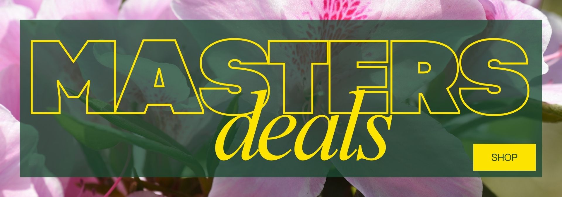 Masters Deals