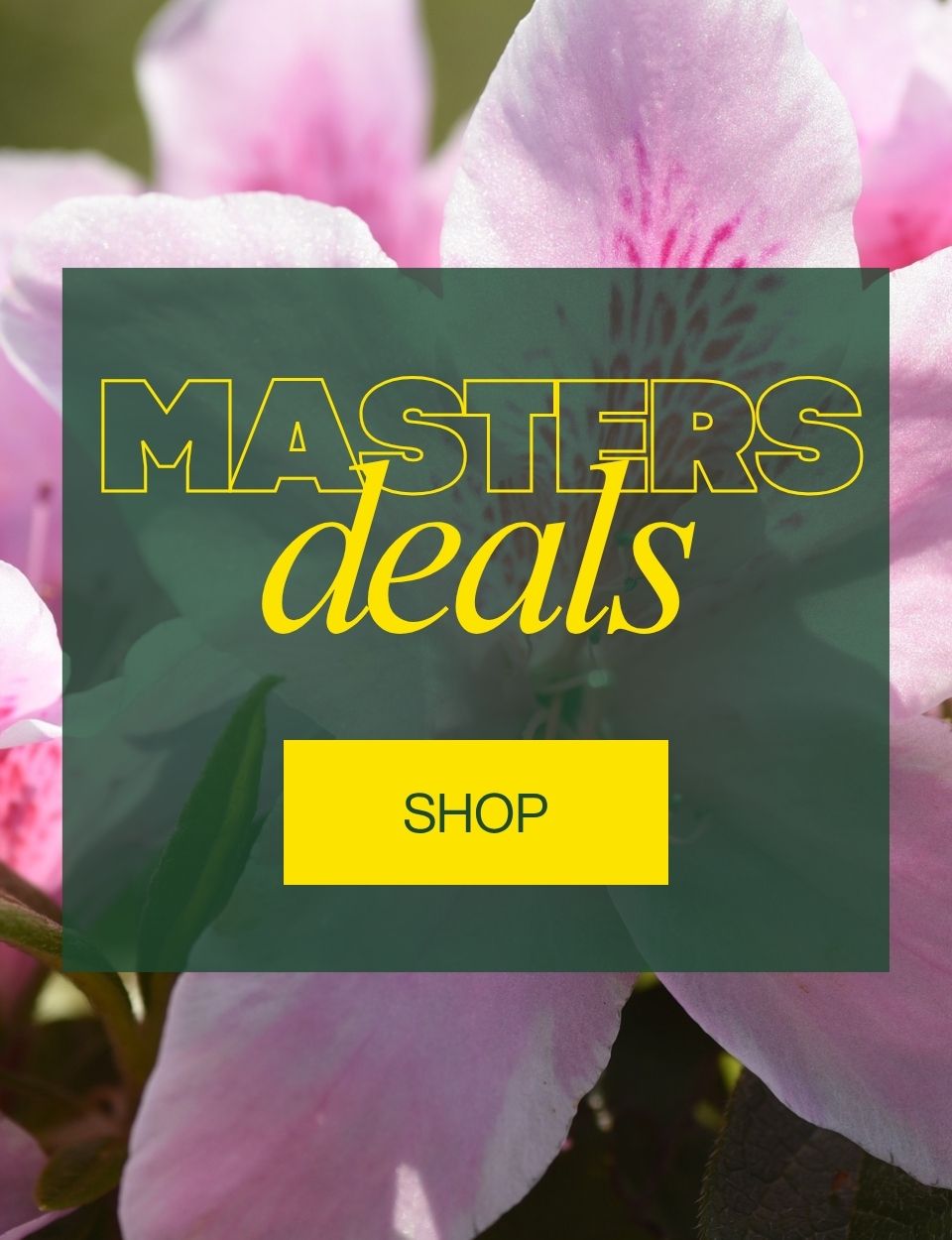 Masters Deals
