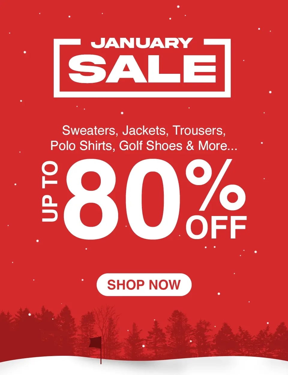 January Sale - Up to 80% off